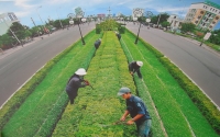 Đà Nẵng xây dựng thành phố xanh và thông minh