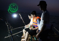 Trải nghiệm câu mực đêm tại biển Đà Nẵng